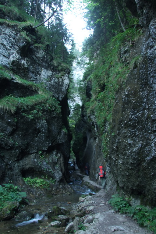 Krivánska Malá Fatra - 1 deň (Malá Fatra)