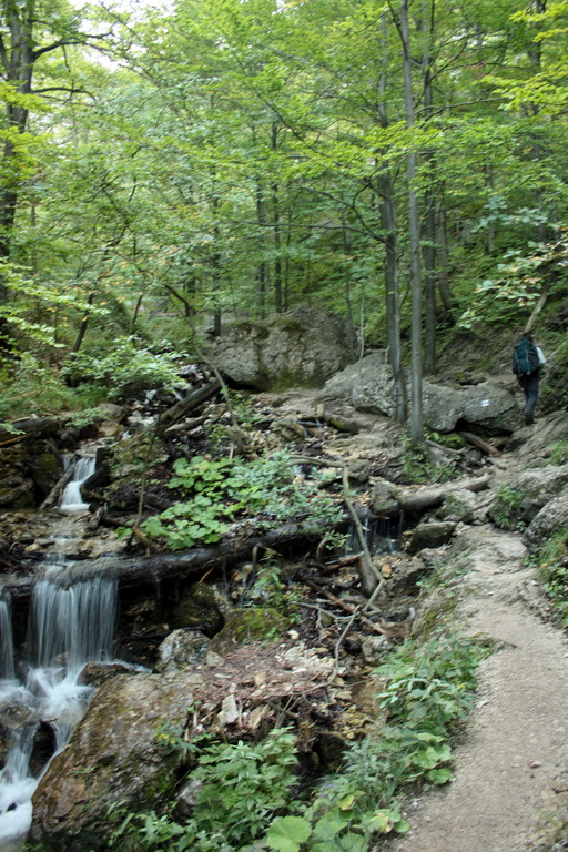 Krivánska Malá Fatra - 1 deň (Malá Fatra)