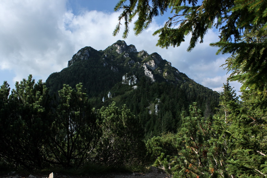 Krivánska Malá Fatra - 1 deň (Malá Fatra)