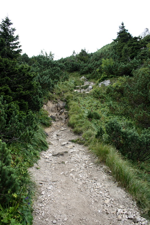 Krivánska Malá Fatra - 1 deň (Malá Fatra)