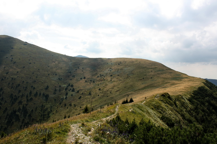 Krivánska Malá Fatra - 1 deň (Malá Fatra)