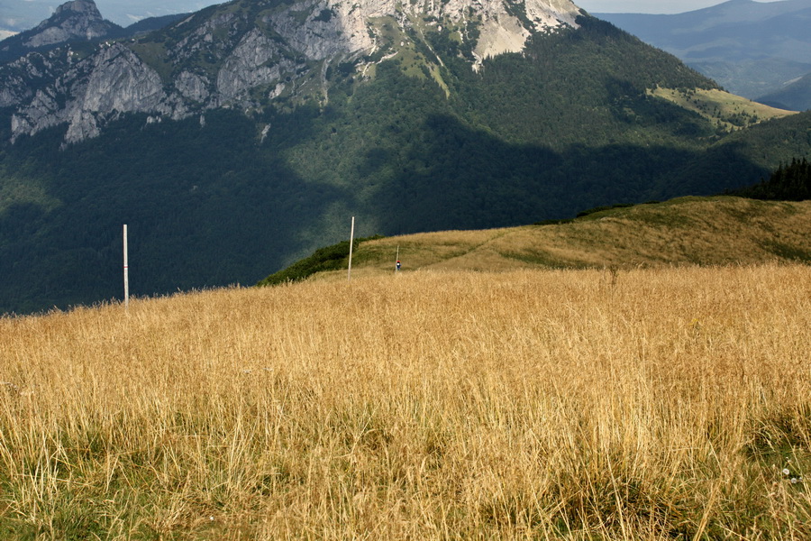 Krivánska Malá Fatra - 1 deň (Malá Fatra)