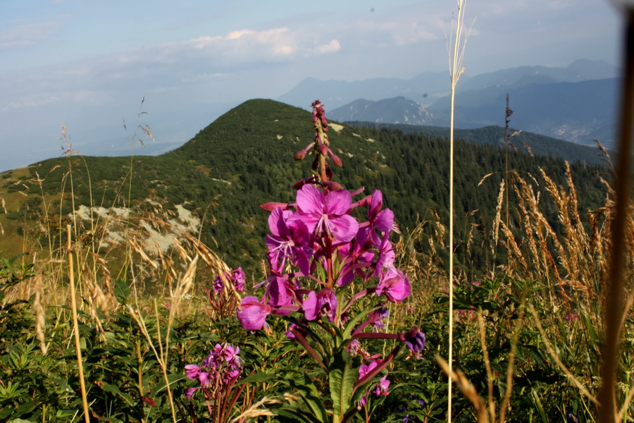 Krivánska Malá Fatra - 1 deň (Malá Fatra)