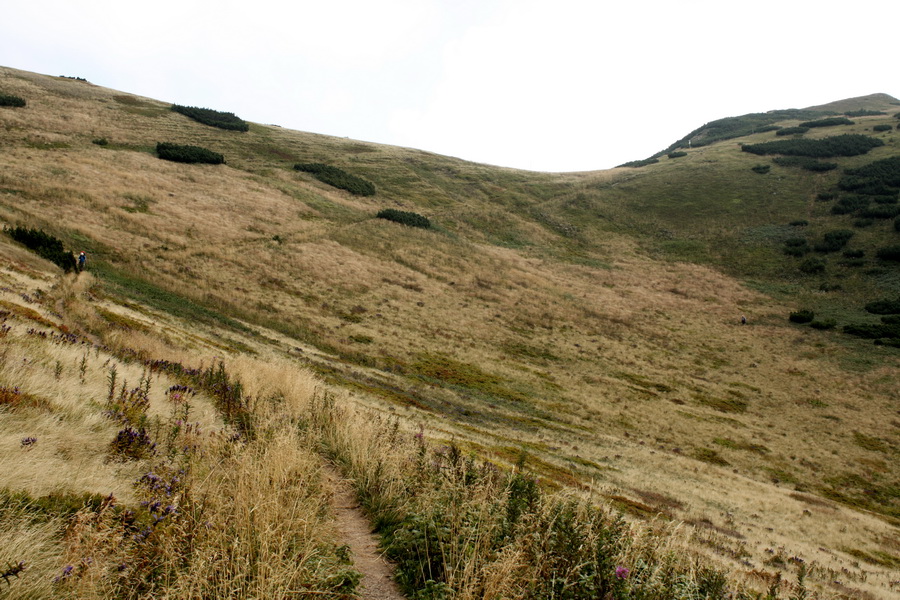 Krivánska Malá Fatra - 2 deň (Malá Fatra)