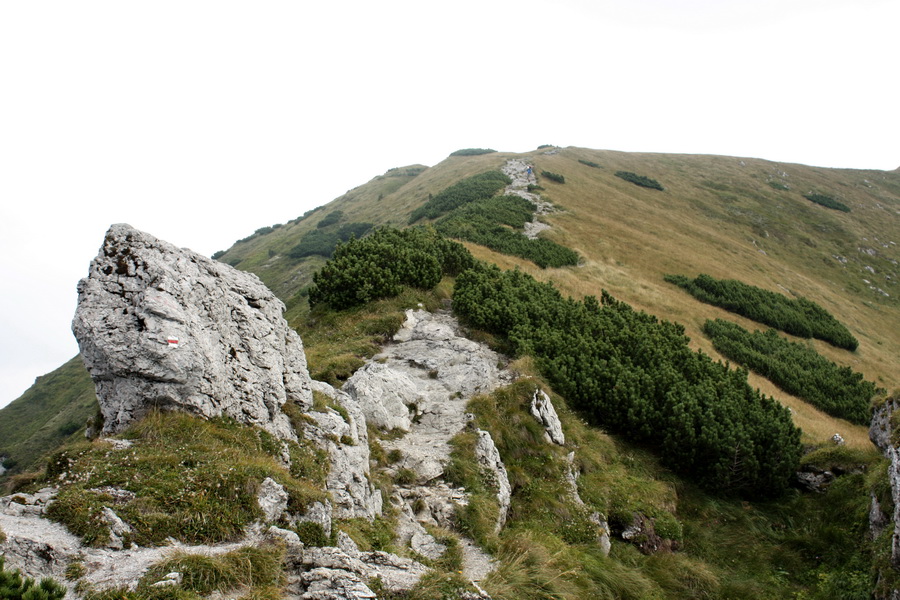 Krivánska Malá Fatra - 2 deň (Malá Fatra)