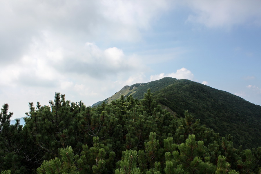 Krivánska Malá Fatra - 2 deň (Malá Fatra)