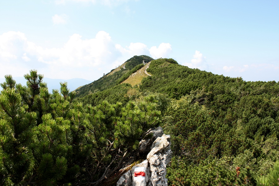 Krivánska Malá Fatra - 2 deň (Malá Fatra)