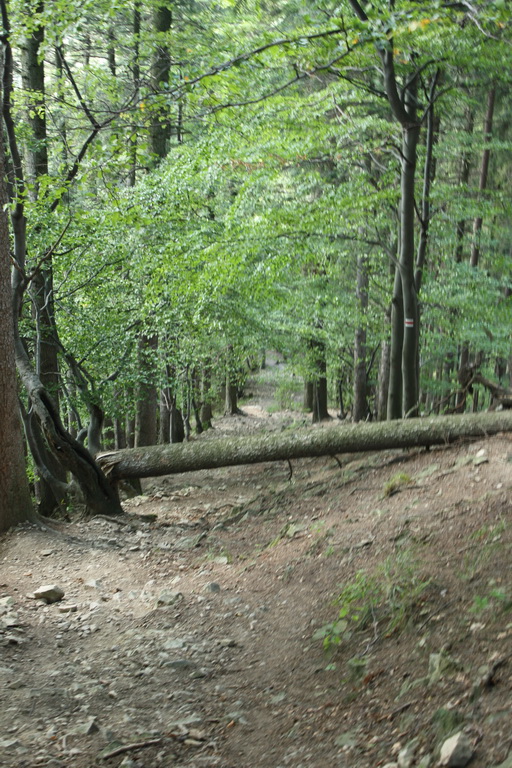 Krivánska Malá Fatra - 2 deň (Malá Fatra)