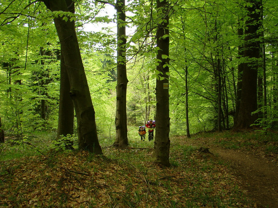 Hrebeňovka Polonín - 1 deň (Bukovské vrchy)