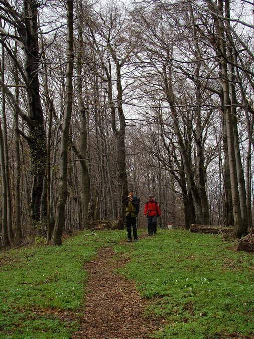 Hrebeňovka Polonín - 1 deň (Bukovské vrchy)