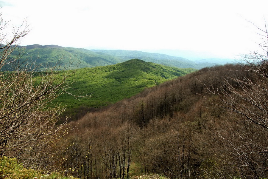 Hrebeňovka Polonín - 1 deň (Bukovské vrchy)