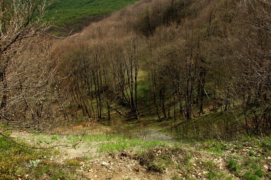 Hrebeňovka Polonín - 1 deň (Bukovské vrchy)