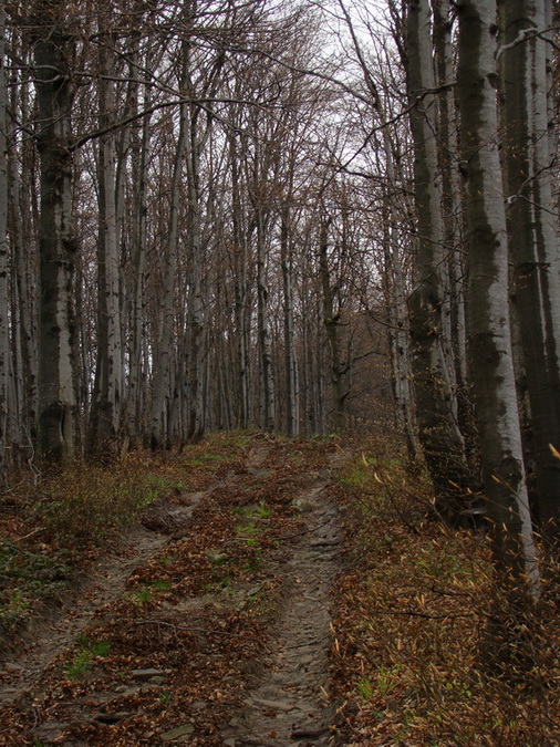 Hrebeňovka Polonín - 2 deň (Bukovské vrchy)