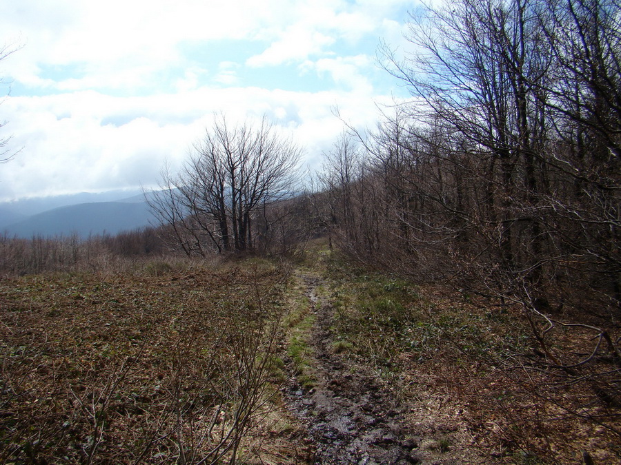 Hrebeňovka Polonín - 2 deň (Bukovské vrchy)