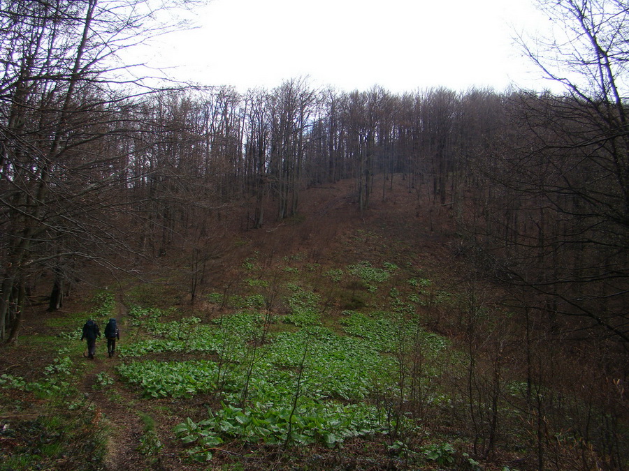 Hrebeňovka Polonín - 2 deň (Bukovské vrchy)