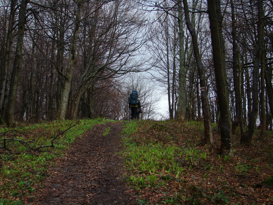 Hrebeňovka Polonín - 2 deň (Bukovské vrchy)