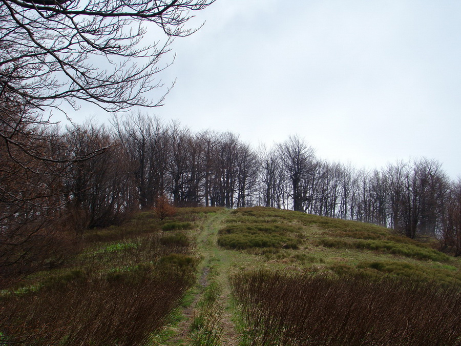 Hrebeňovka Polonín - 2 deň (Bukovské vrchy)