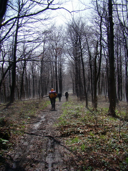 Hrebeňovka Polonín - 2 deň (Bukovské vrchy)