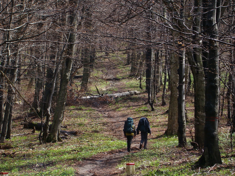 Hrebeňovka Polonín - 2 deň (Bukovské vrchy)