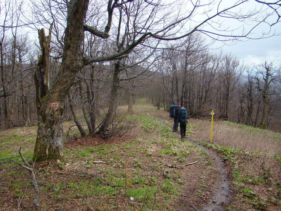 Hrebeňovka Polonín - 2 deň (Bukovské vrchy)