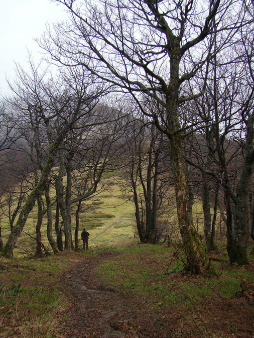 Hrebeňovka Polonín - 2 deň (Bukovské vrchy)