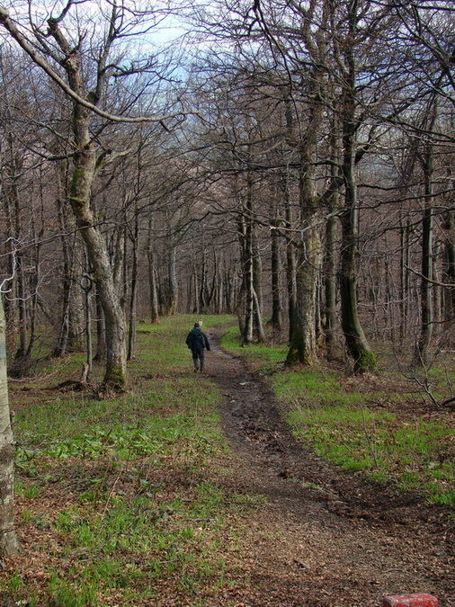 Hrebeňovka Polonín - 2 deň (Bukovské vrchy)