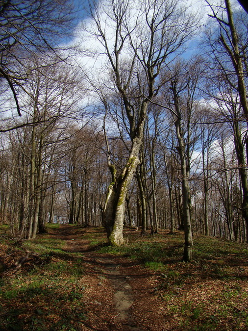 Hrebeňovka Polonín - 2 deň (Bukovské vrchy)