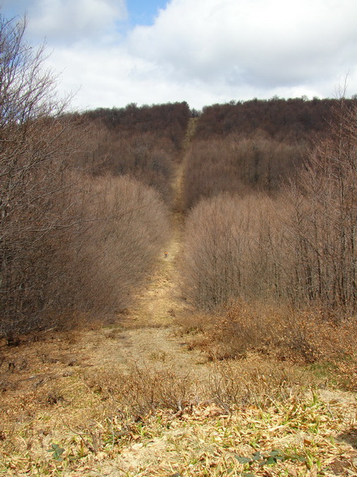 Hrebeňovka Polonín - 3 deň (Bukovské vrchy)