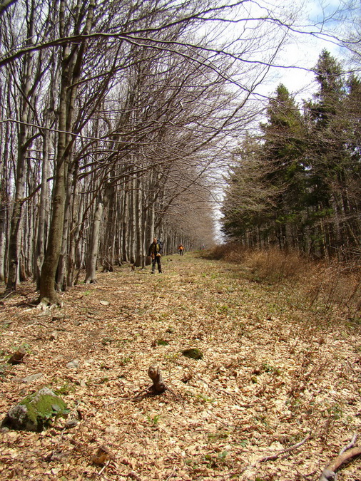 Hrebeňovka Polonín - 3 deň (Bukovské vrchy)