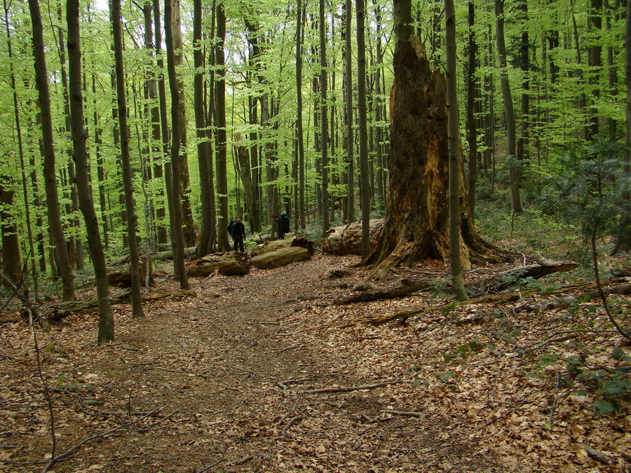 Hrebeňovka Polonín - 3 deň (Bukovské vrchy)