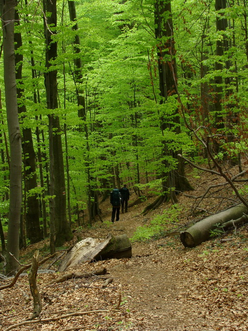 Hrebeňovka Polonín - 3 deň (Bukovské vrchy)