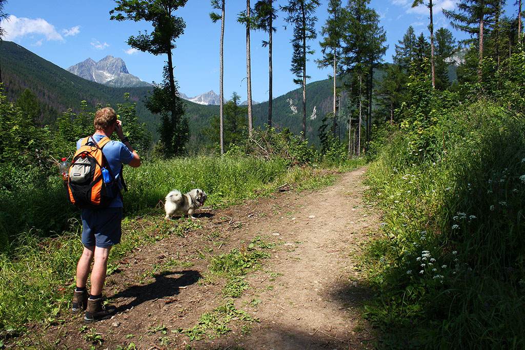 Kopské sedlo (Belianske Tatry)