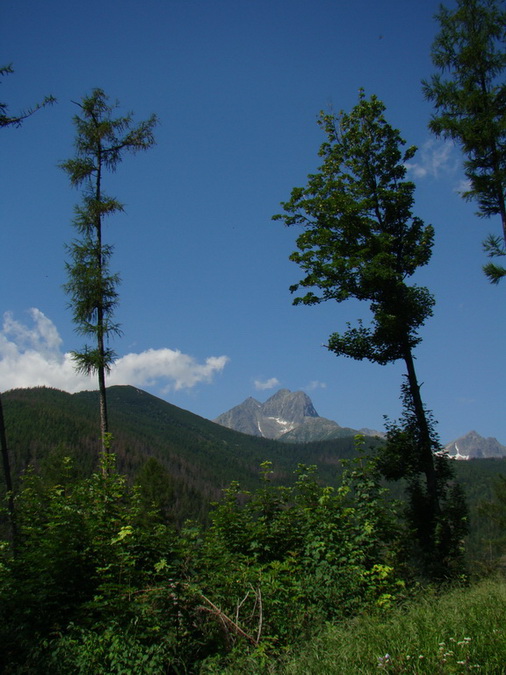 Kopské sedlo (Belianske Tatry)