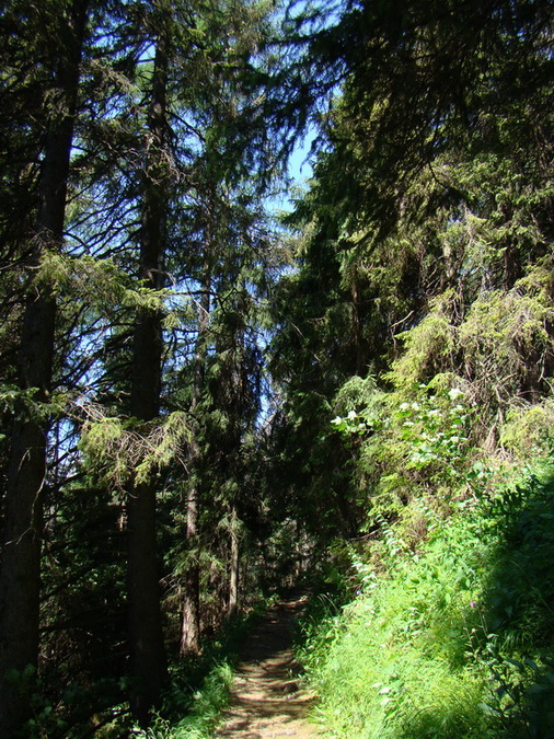 Kopské sedlo (Belianske Tatry)