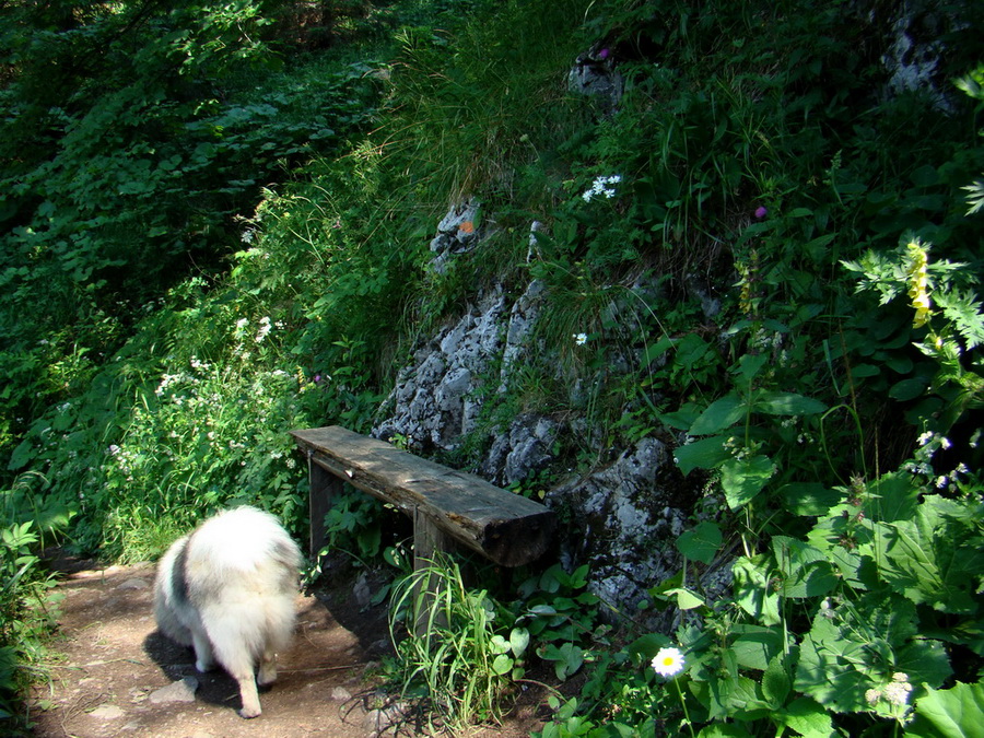 Kopské sedlo (Belianske Tatry)