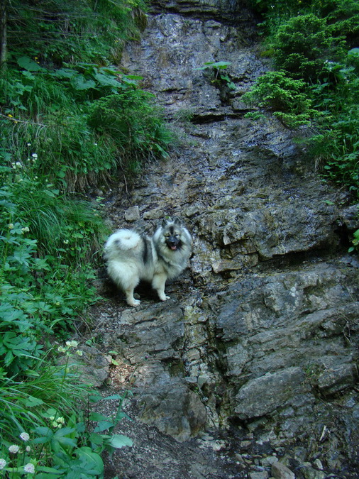 Kopské sedlo (Belianske Tatry)