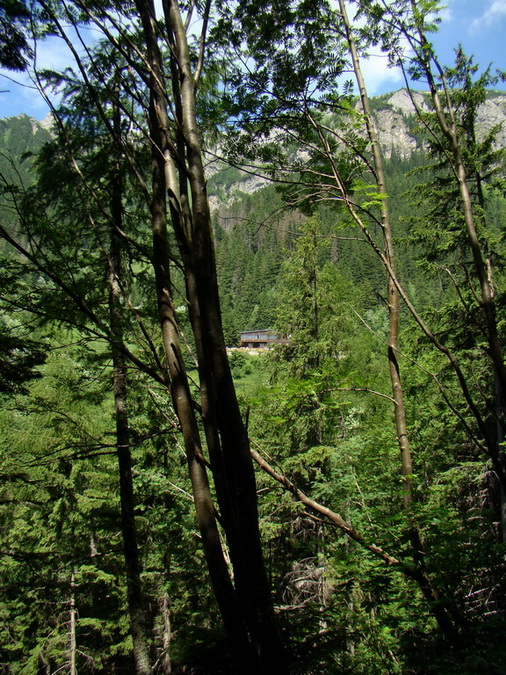 Kopské sedlo (Belianske Tatry)