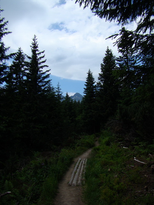 Kopské sedlo (Belianske Tatry)