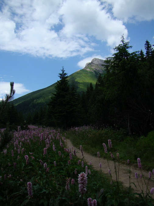 Kopské sedlo (Belianske Tatry)