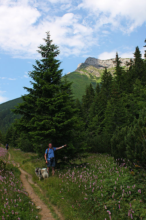 Kopské sedlo (Belianske Tatry)