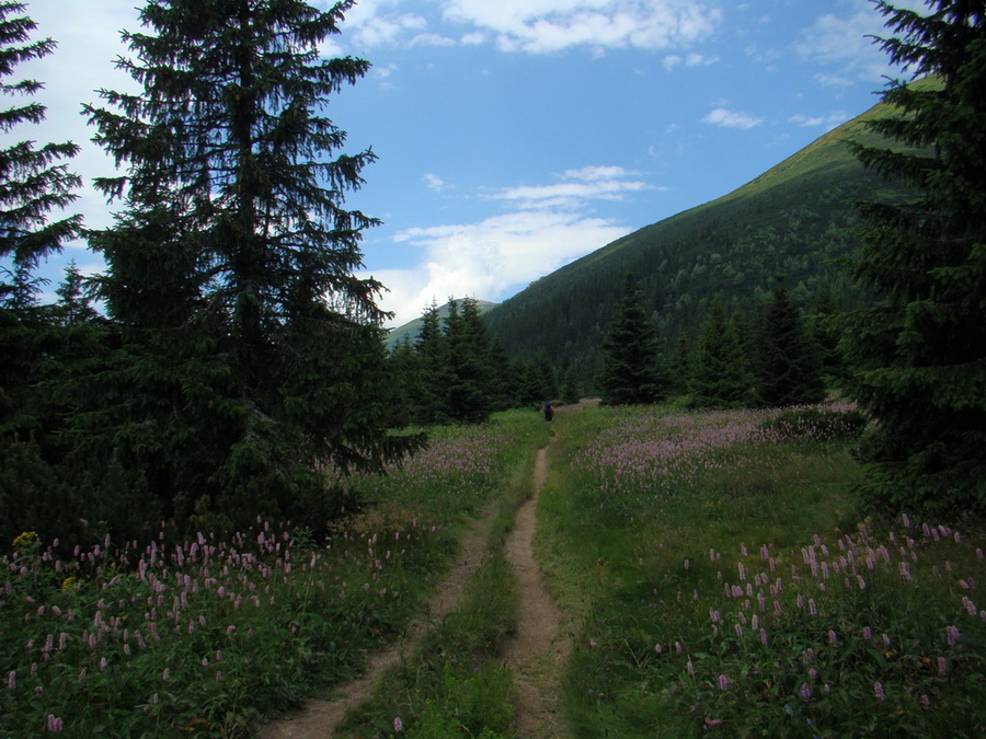 Kopské sedlo (Belianske Tatry)