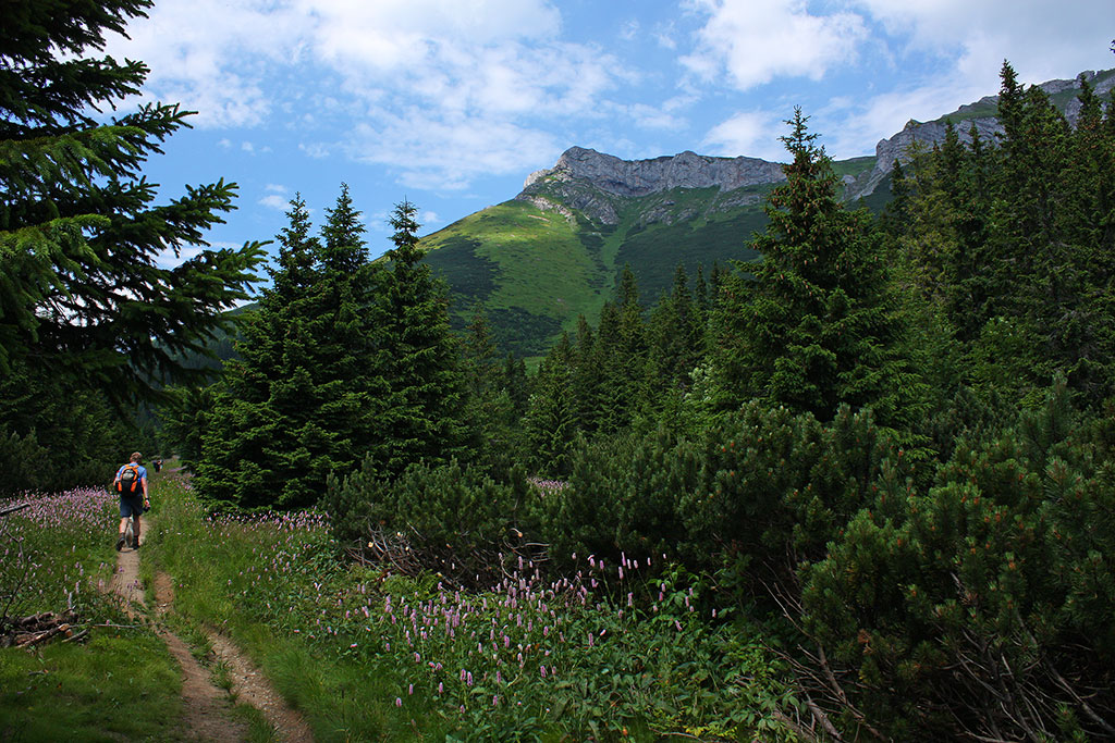 Kopské sedlo (Belianske Tatry)