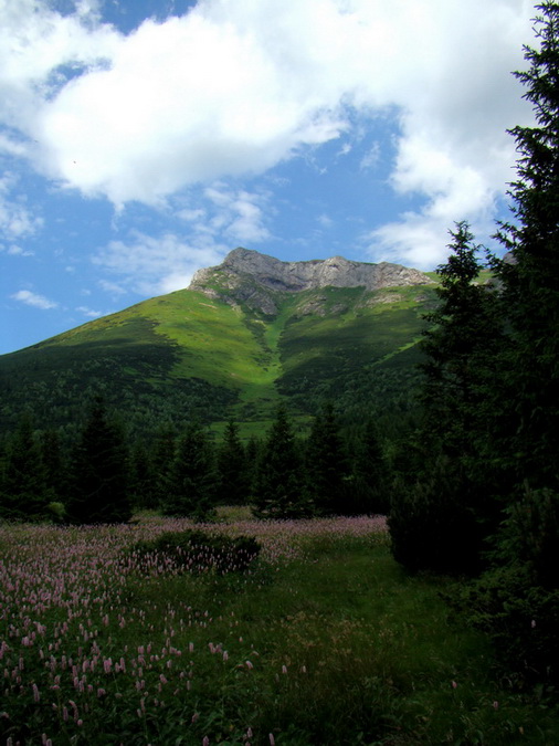 Kopské sedlo (Belianske Tatry)