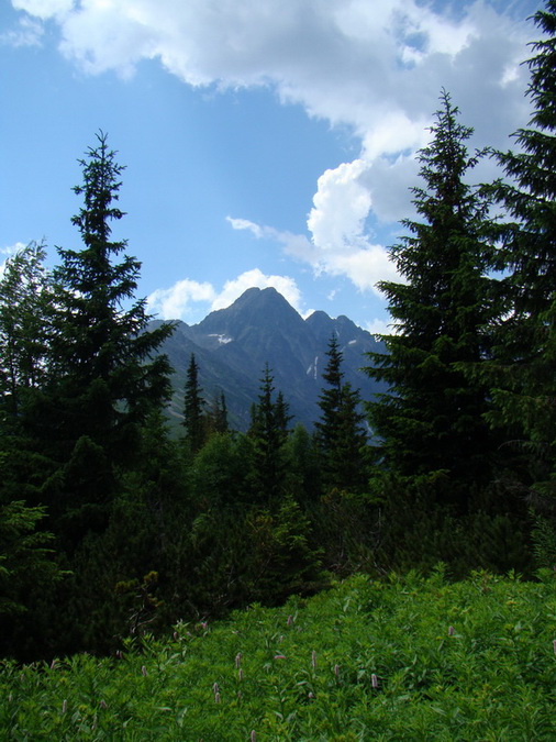 Kopské sedlo (Belianske Tatry)