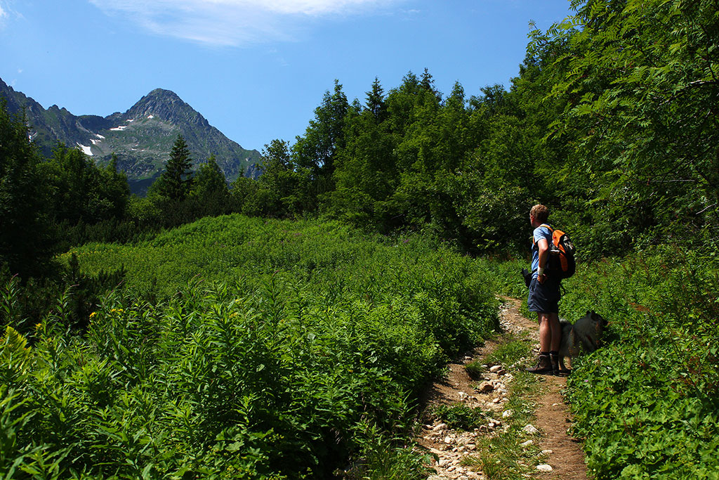 Kopské sedlo (Belianske Tatry)