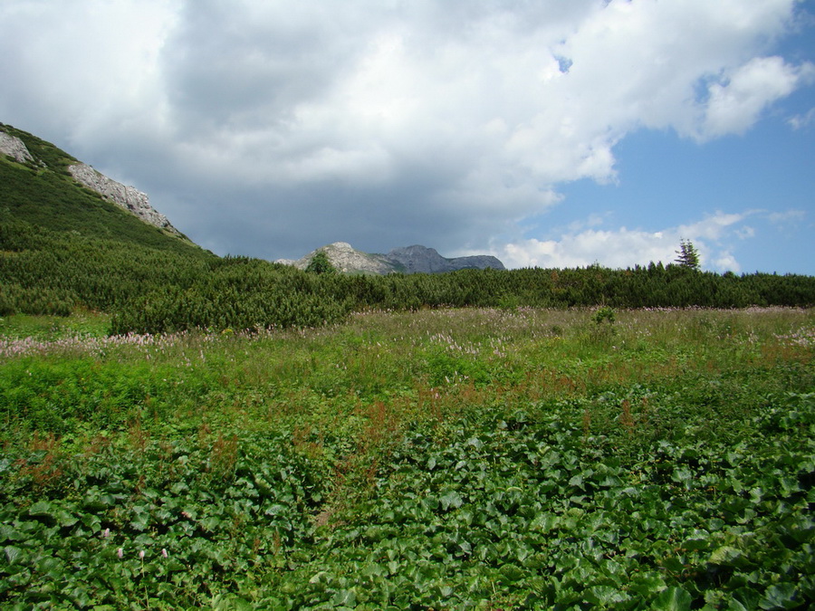 Kopské sedlo (Belianske Tatry)