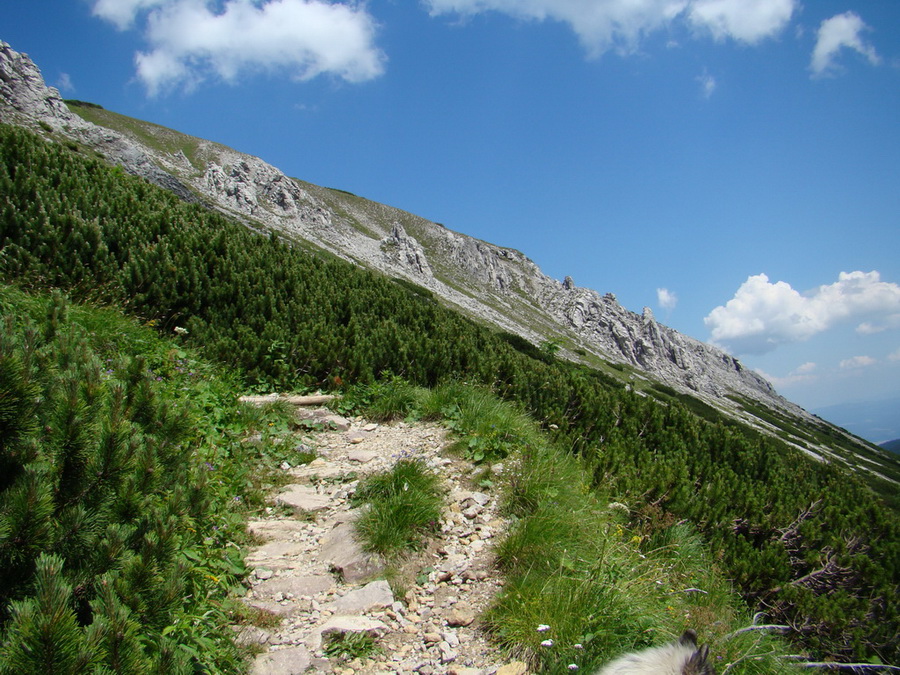 Kopské sedlo (Belianske Tatry)