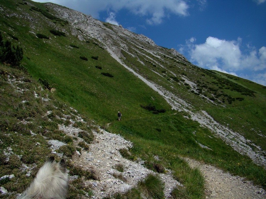 Kopské sedlo (Belianske Tatry)