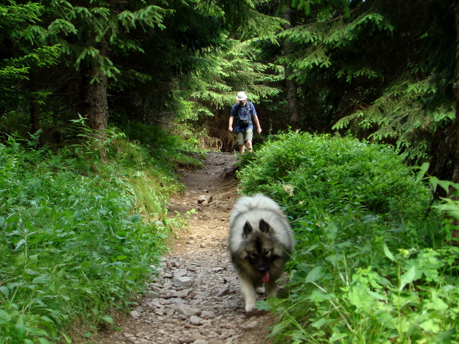 Kopské sedlo (Belianske Tatry)