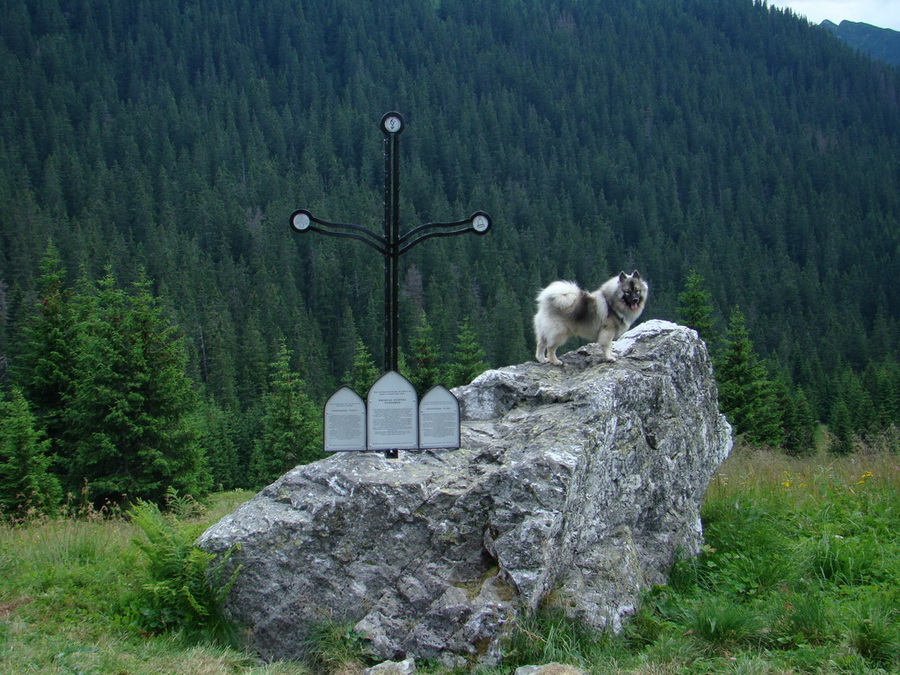 Kopské sedlo (Belianske Tatry)